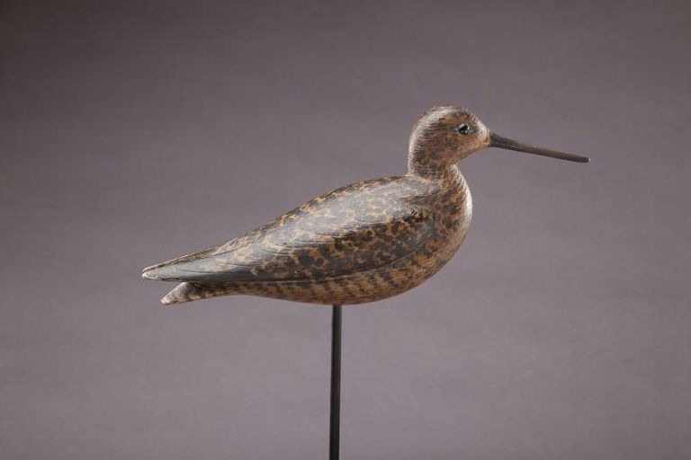 Mark McNair – Long-Billed Dowitcher – 2012