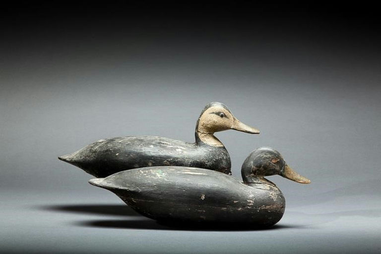 Harry V. Shourds – Two Black Ducks – 2014