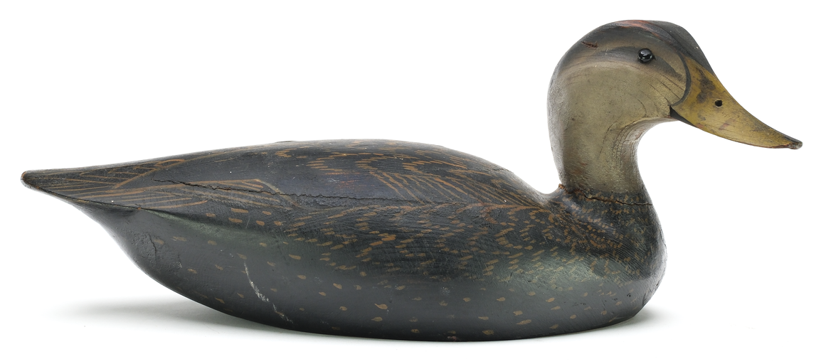 Ward Brothers – Black duck – 2025