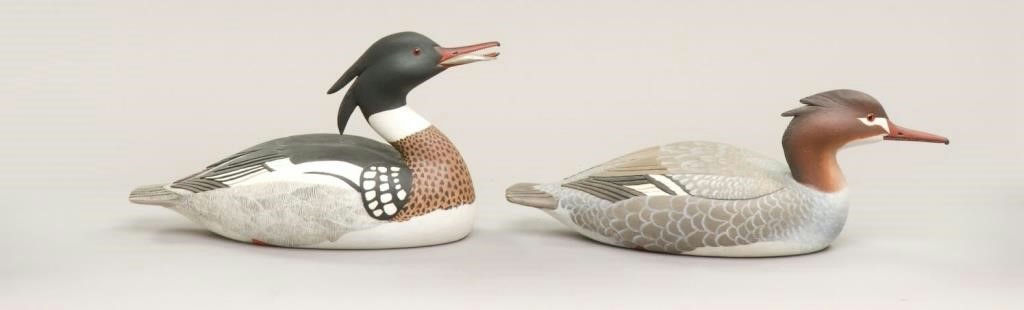 William M. Birk – Red-breasted Merganser Pair – 2009