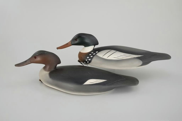 Pete Peterson – Red-Breasted Merganser Pair – 2026
