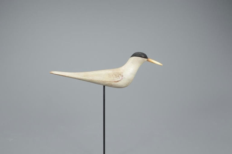 Mark McNair – Tern – 2020