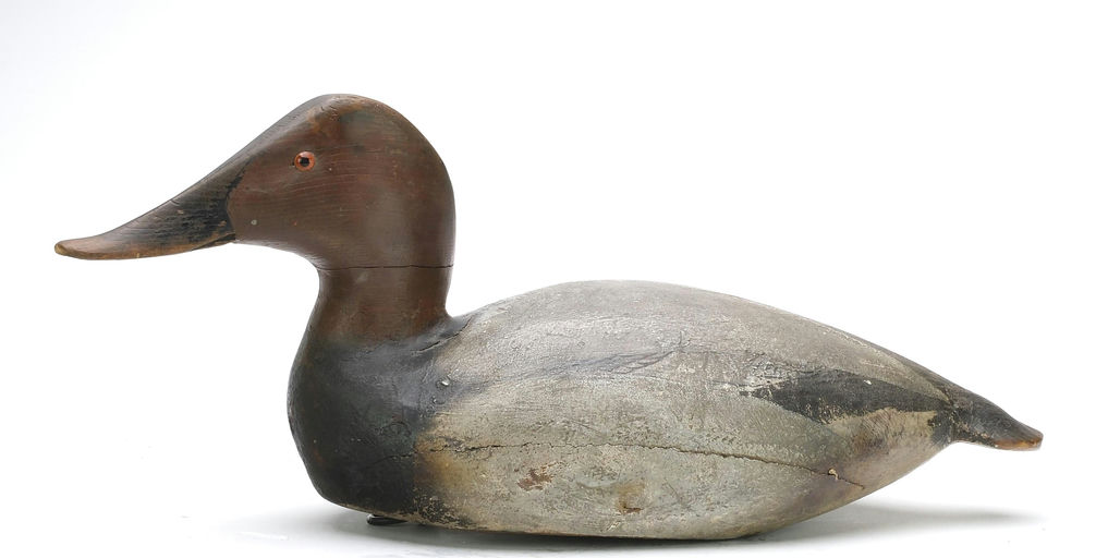 Ward Brothers – Canvasback – 2024