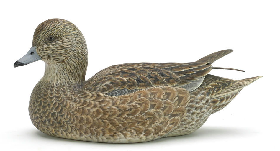 Ben A. Heinemann – Wigeon – 2024