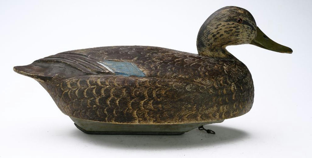 Ben Schmidt – Mallard Hen – 2023