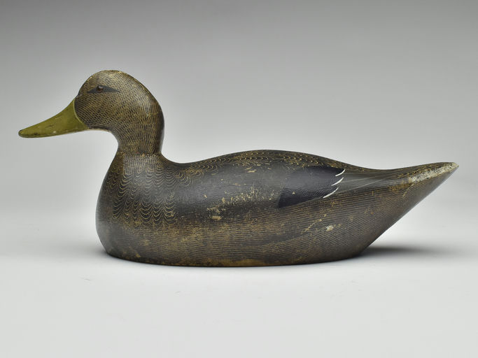 Evans Decoy Company – Black Duck – 2023