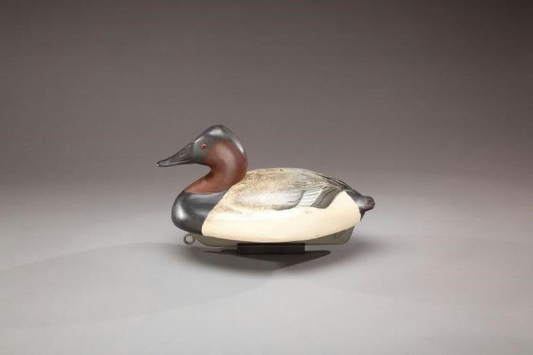 Ferdinand Bach – Canvasback Drake – 2013