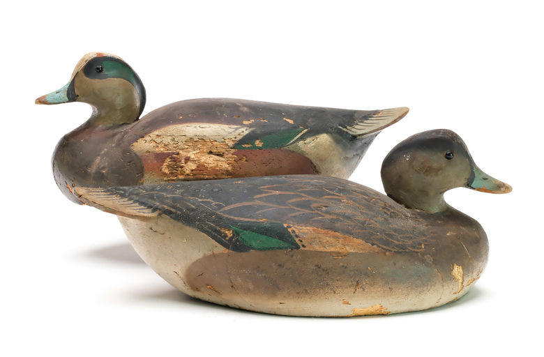 Ward Brothers – Pair of widgeons – 2025