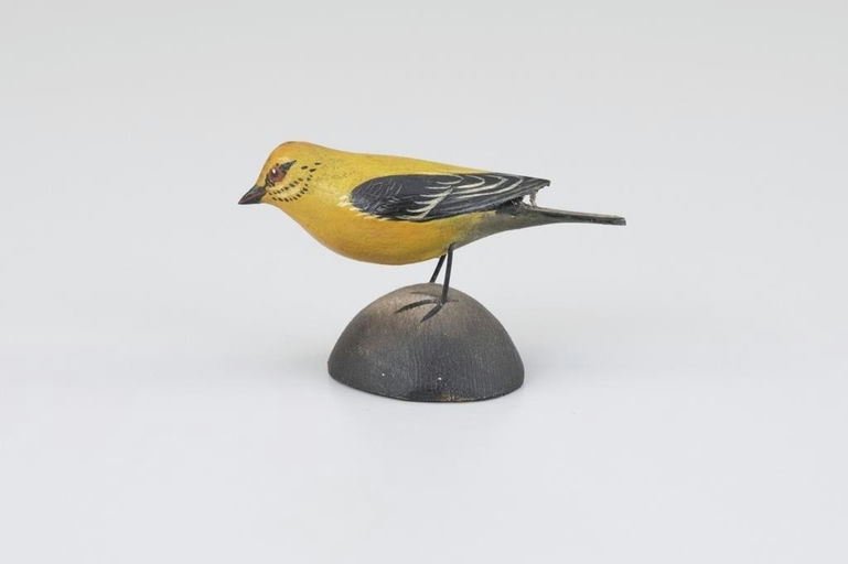Elmer Crowell – Miniature Yellow-Throated Vireo – 2026