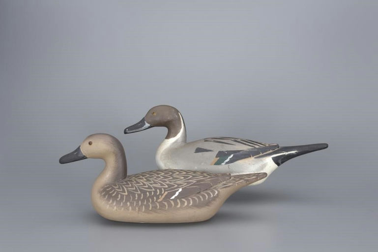 Richard Janson – Pair of Pintails – 2017