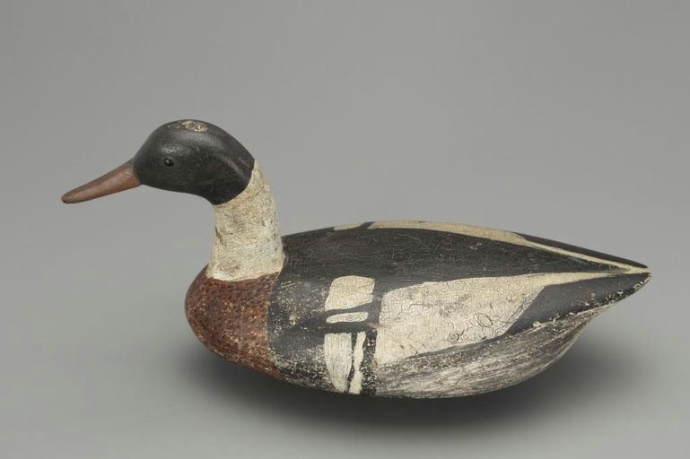 Thomas Gelston – High-Head Red-Breasted Merganser – 2018
