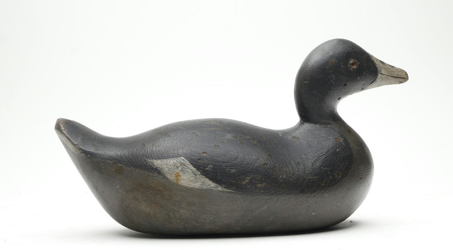 Mason Decoy Factory – Coot – 2026