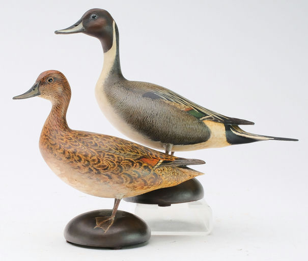 Bill Gibian – Pair of Pintail – 2024