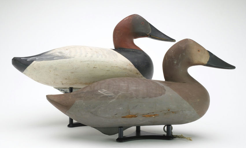 R. Madison Mitchell – Pair of Canvasbacks – 2024