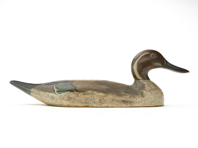 Horace Crandall – Pintail – 2025