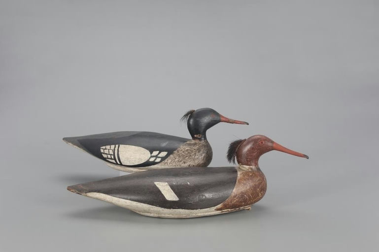 Orlando Os Bibber – Red-breasted Merganser Pair – 2022