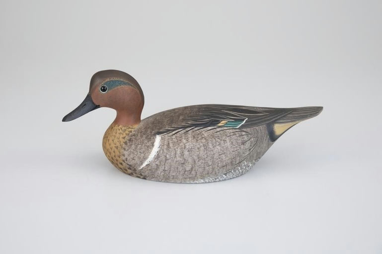 Marty Collins – Green-Winged Teal – 2026