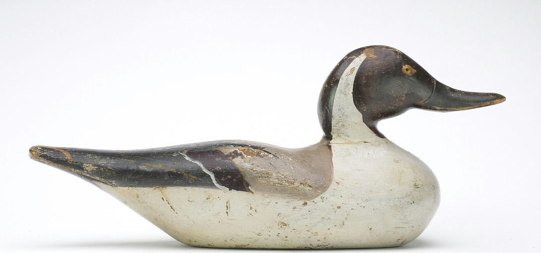 Dodge Factory – Pintail – 2024