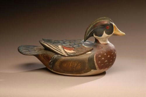 Orel LeBoeuf – Exceedingly Rare and Possibly Unique Wood Duck – 2007