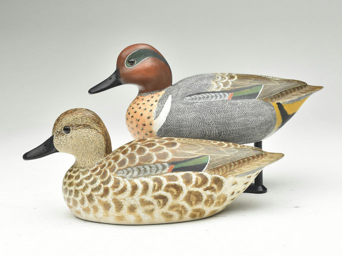 Cigar Daisey – Green-winged Teal – 2023