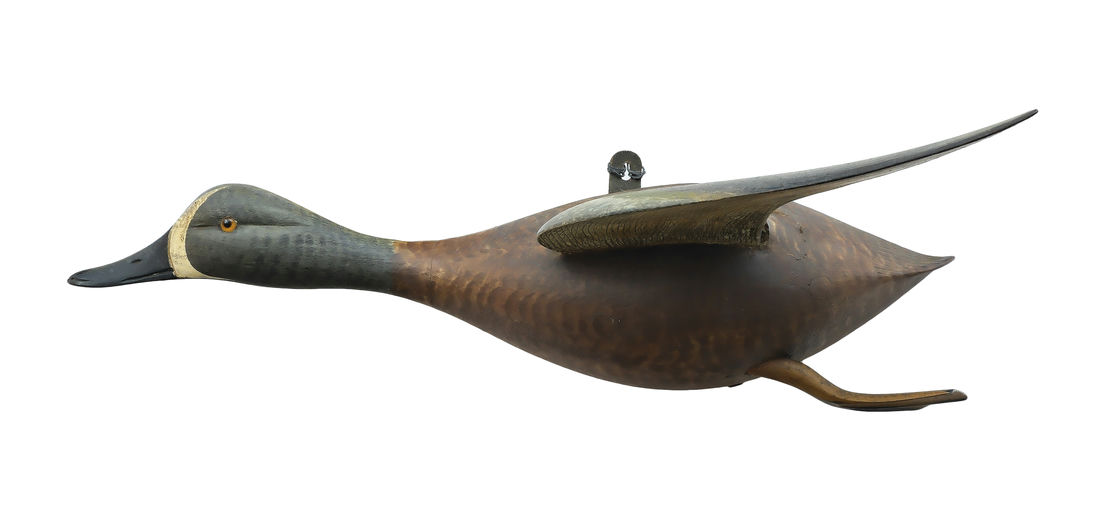 Chauncey Wheeler – Blue-winged Teal – 2025