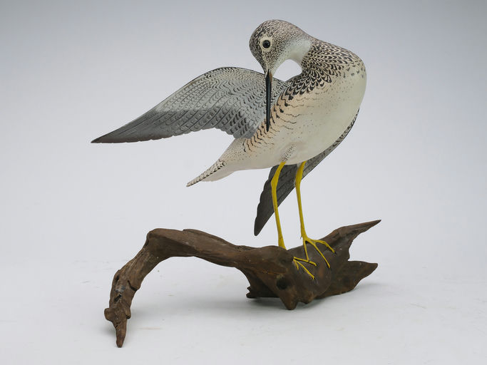 Ward Brothers – Decorative Preening Yellowlegs – 2024