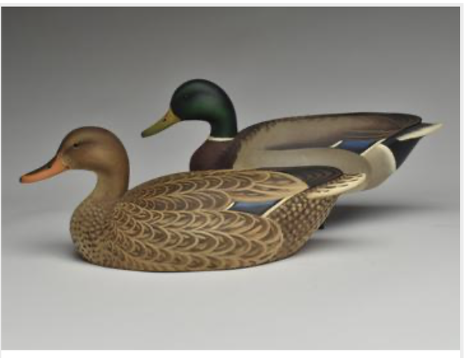 Marty Hanson – Mallard
