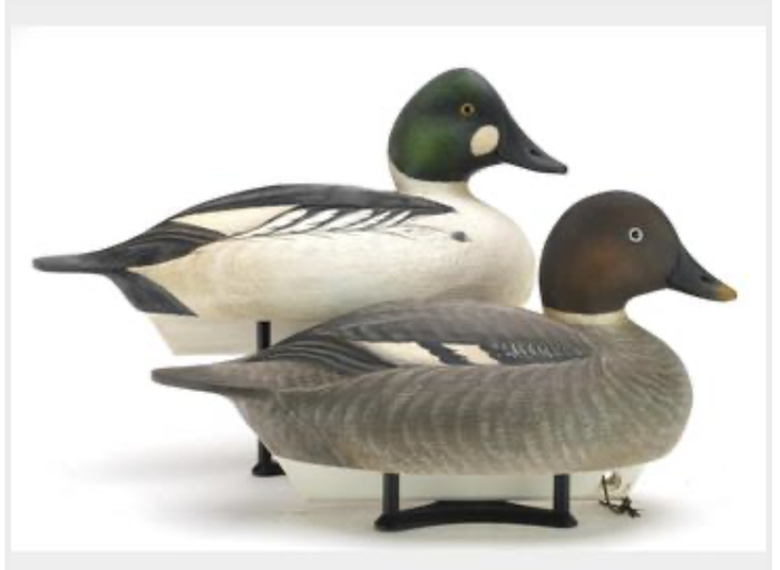 Marty Hanson – Goldeneye