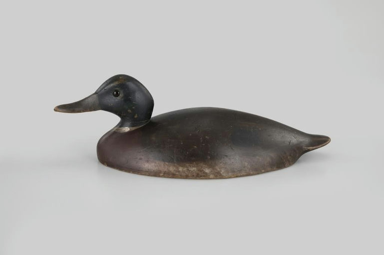 George Warin – Mallard Drake – 2026