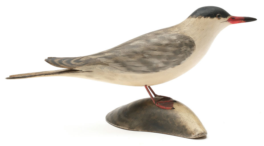 Elmer Crowell – Tern – 2026