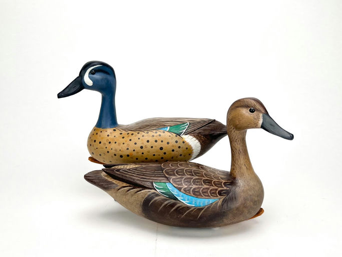 Chris Triolo — Blue-winged Teal Pair