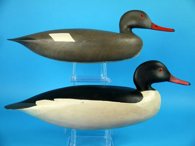 Hurley Conklin – Common Merganser Pair – 2026