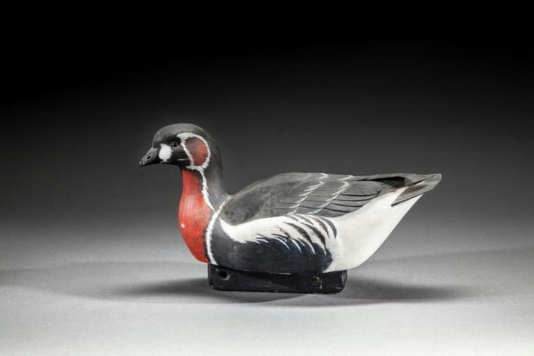 Roger C. Mitchell – Red-breasted Goose – 2016