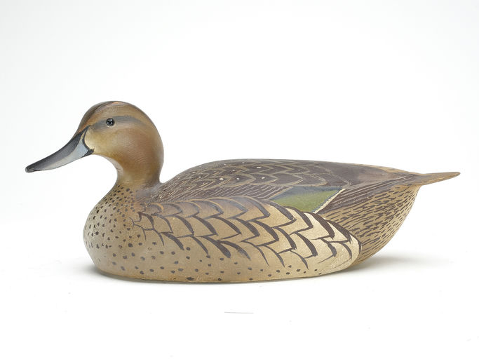 Ward Brothers – Pintail – 2023