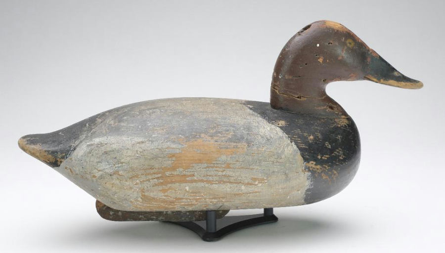 John Daddy Holly – Canvasback – 2024