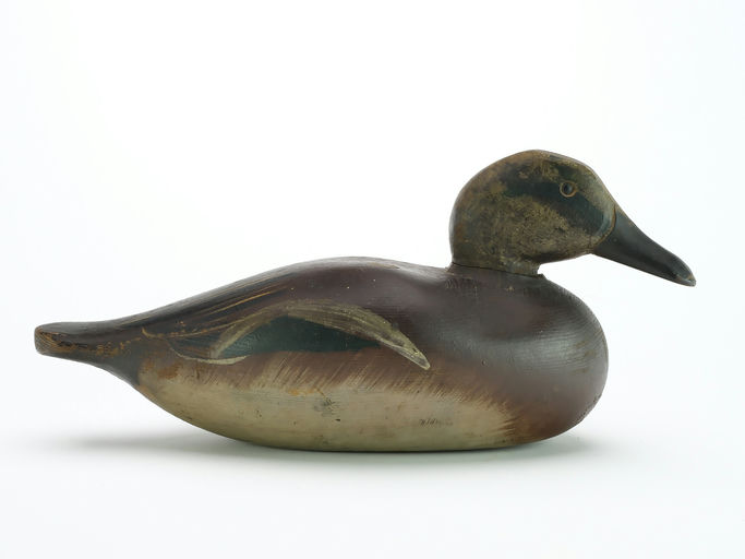 Dodge Factory – Wigeon – 2024