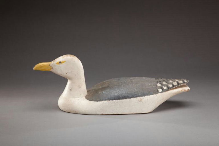 Amateur "Mat" Savoie – Gull – 2012