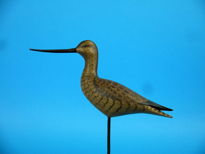 William Bill Johnson – Miniature Whimbrel – 2026
