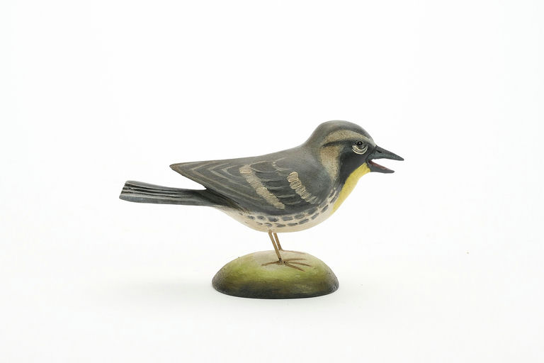 Frank Finney – Yellow-throated warbler – 2024