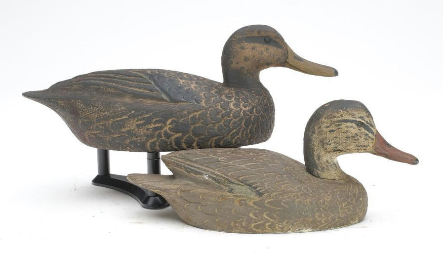 Ben Schmidt – Pair of Black Ducks – 2023