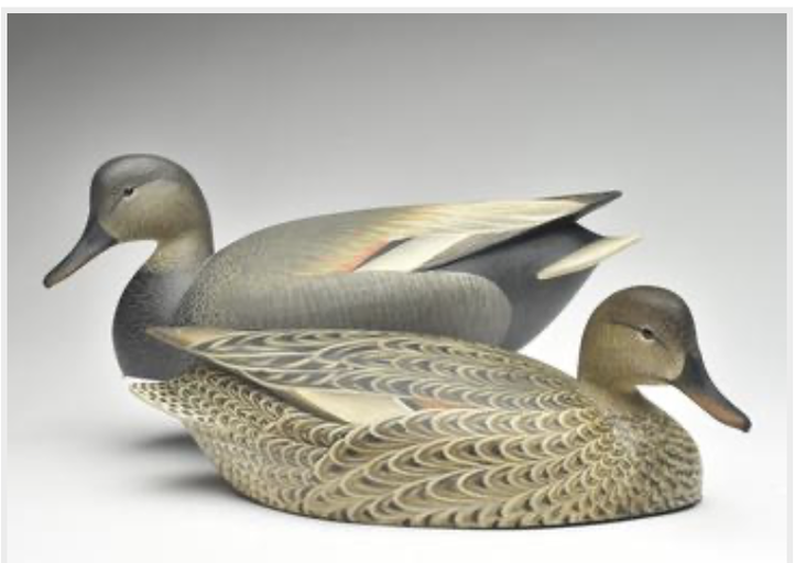 Marty Hanson – Gadwall