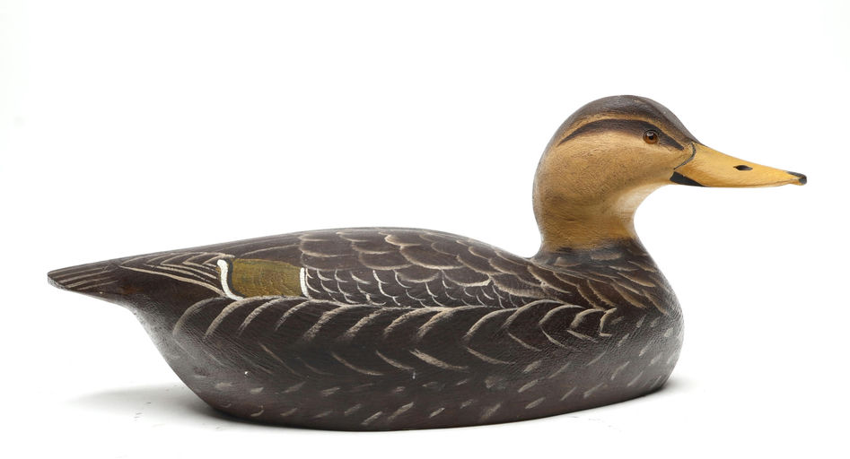 Ward Brothers – Black Duck – 2026