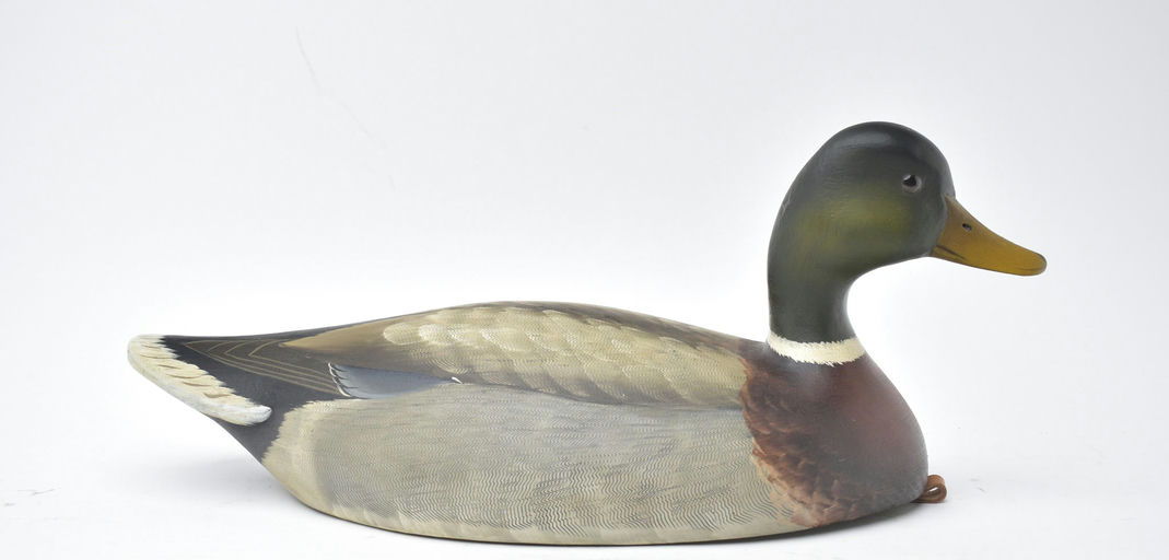 George Strunk – Mallard – 2025