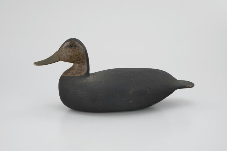 Levi Rhodes Truex – Black Duck – 2026