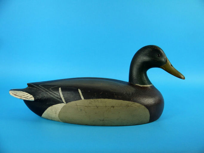 John McLoughlin – Mallard Drake – 2026