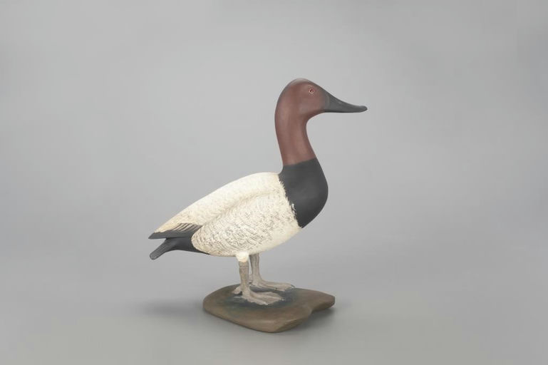 Frank Finney – Life-Size Canvasback Drake – 2022