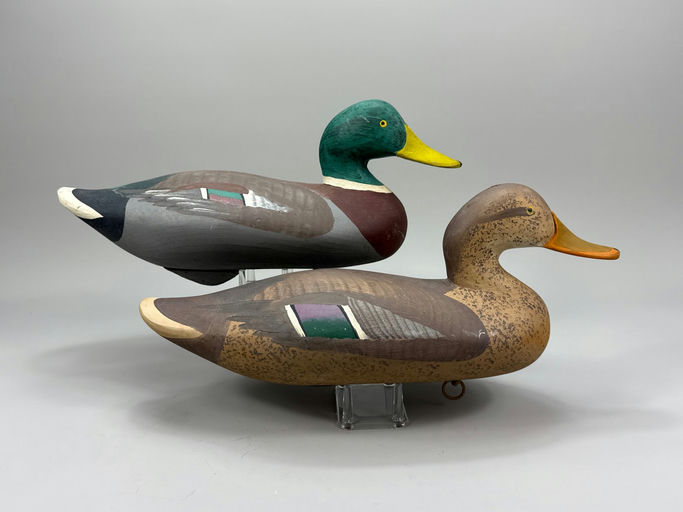 R. Madison Mitchell – Mallard – 2026