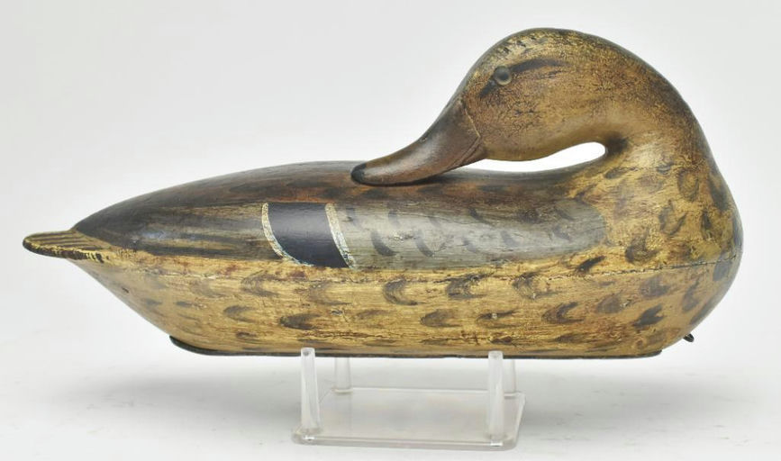 Robert Elliston – Preening Mallard Hen – 2023