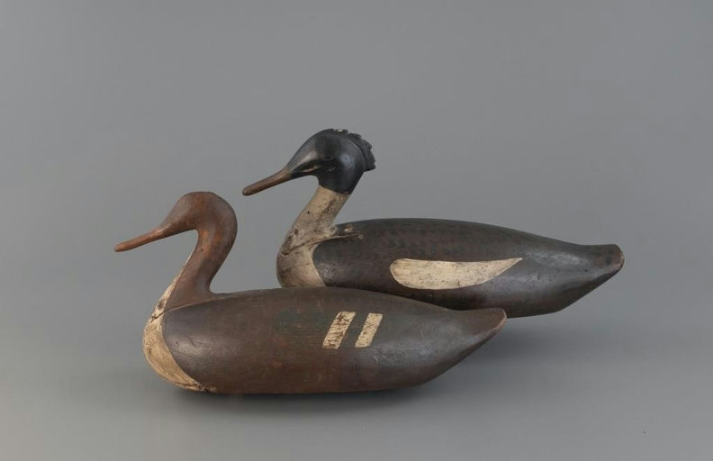 Samuel Smith Toothaker – Merganser Pair – 2025