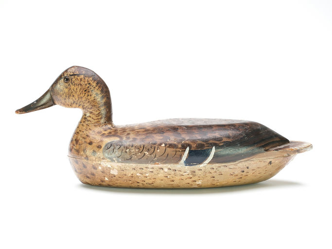 Bert Graves – Mallard – 2025